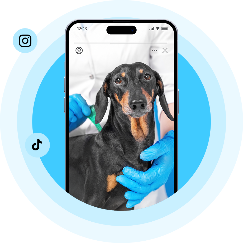 PS Pet Social image copy